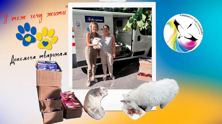 Передали першу партію корму для безпритульних котиків
